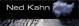 Ned Kahn Artist